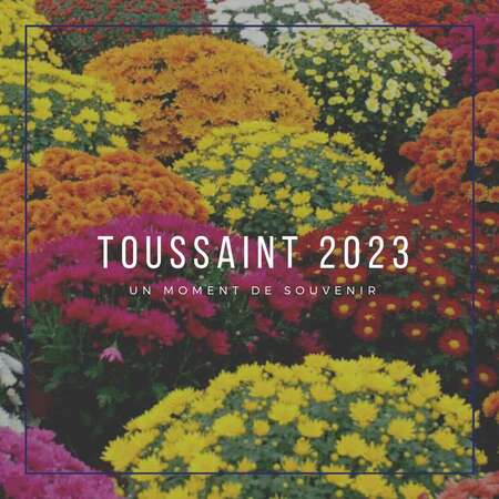 Toussaint 2023